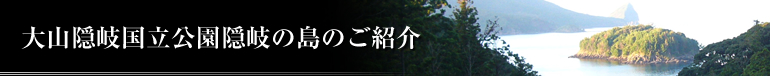 大山隠岐国立公園隠岐の島のご紹介